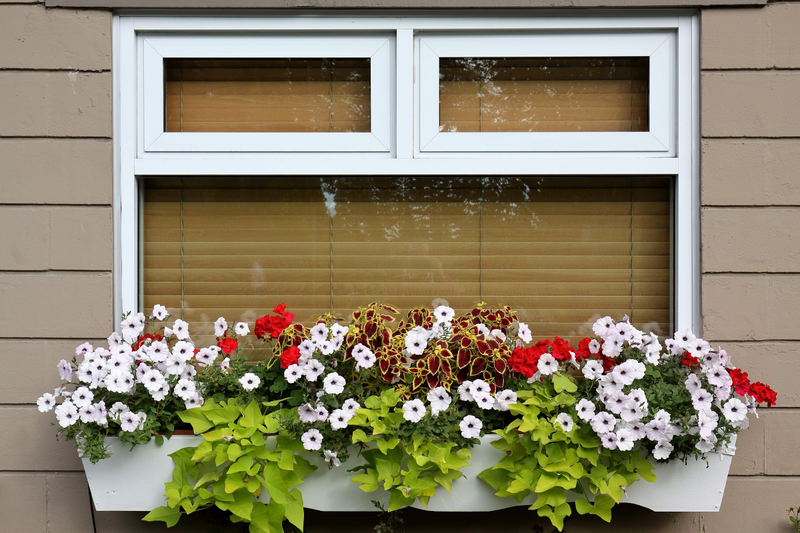 Illustration for article titled Pics from the Curbside: 2018-09-23 to Shaughnessy